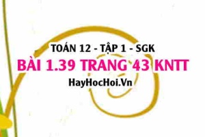 Bài 1.39 trang 43 Toán 12 tập 1 Kết nối tri thức